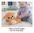Fisher Price 2 in 1 Rockin' Tummy Time Otter